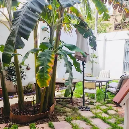 Doble En Ruzafa Con Bano Privado Accommodatie bij particulieren *